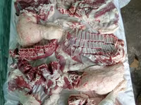 كبش, Rhon sheep — الصورة 6