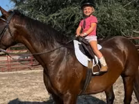 فرس, Quarter Horse — الصورة 7